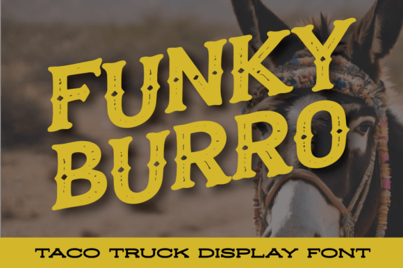 Funky Burro: A Vintage Display Font for Authentic Branding